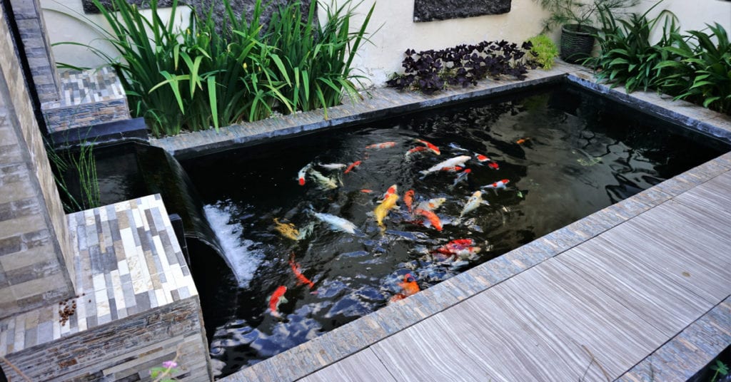 Refreshing Water Feature Accents, Koi Pond