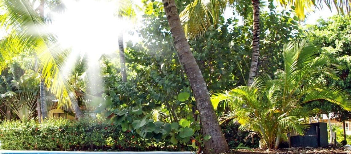 Importance of professional pool cleaning during summer